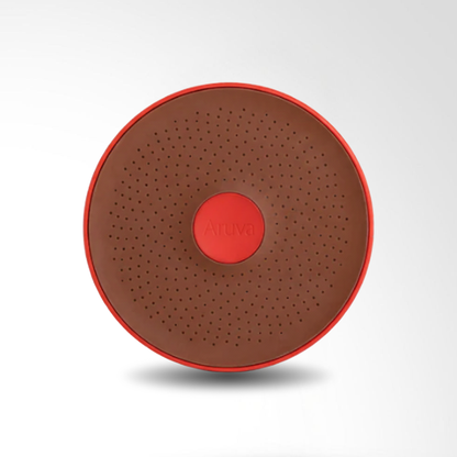 Pomme de Douche Filtrante