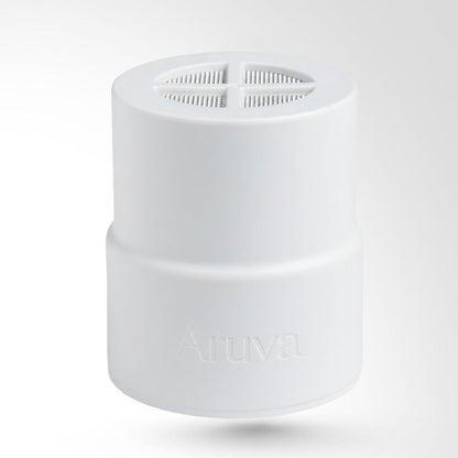 Filtre Pomme de Douche