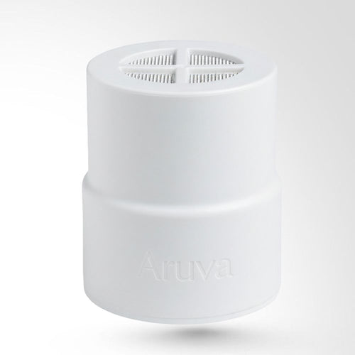 Filtre Pomme de Douche