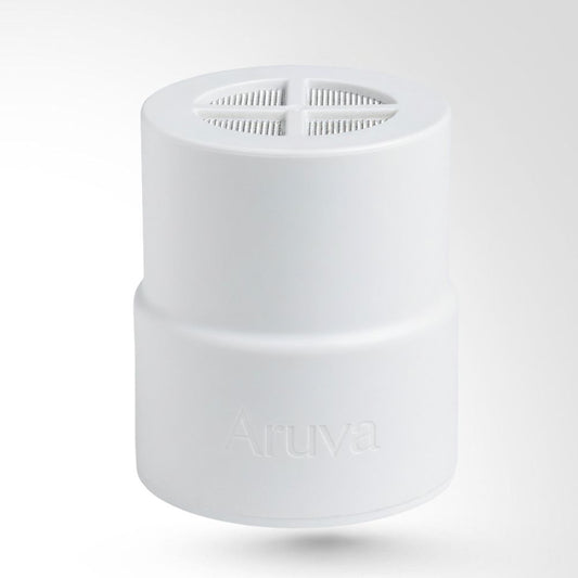 Filtre Pomme de Douche