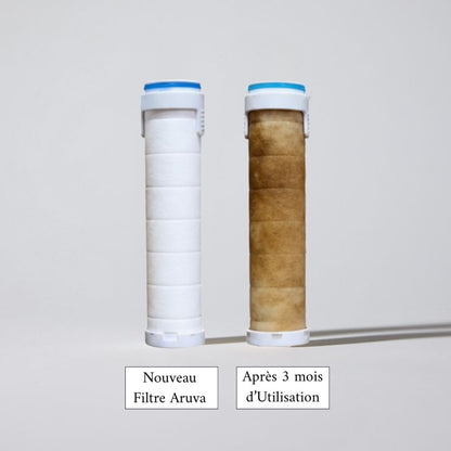 POMMEAU DE DOUCHE FILTRANT